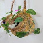 পাখির বাসা ( সাথে ঝুলানোর জন্য ১ পিস ওয়াল হুক)