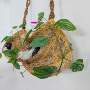পাখির বাসা ( সাথে ঝুলানোর জন্য ১ পিস ওয়াল হুক)
