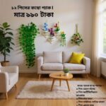 ১২ পিস ওয়াল ডেকোর কম্বো প্যাক – আপনার ঘর হোক আরও সুন্দর ও আকর্ষণীয়