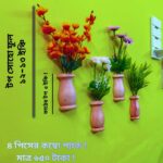 প্রিমিয়াম ৫ পিস কলস ডিজাইন ওয়াল ডেকোর ফুল – ঘরের দেয়ালে নান্দনিক সাজ