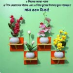 ৮ পিস টি শেল্ফ কম্বো প্যাক – ৪ পিস টি শেল্ফ ওয়াল স্ট্যান্ড এবং ৪ পিস সুন্দর ডেকোরেটিভ ফুল